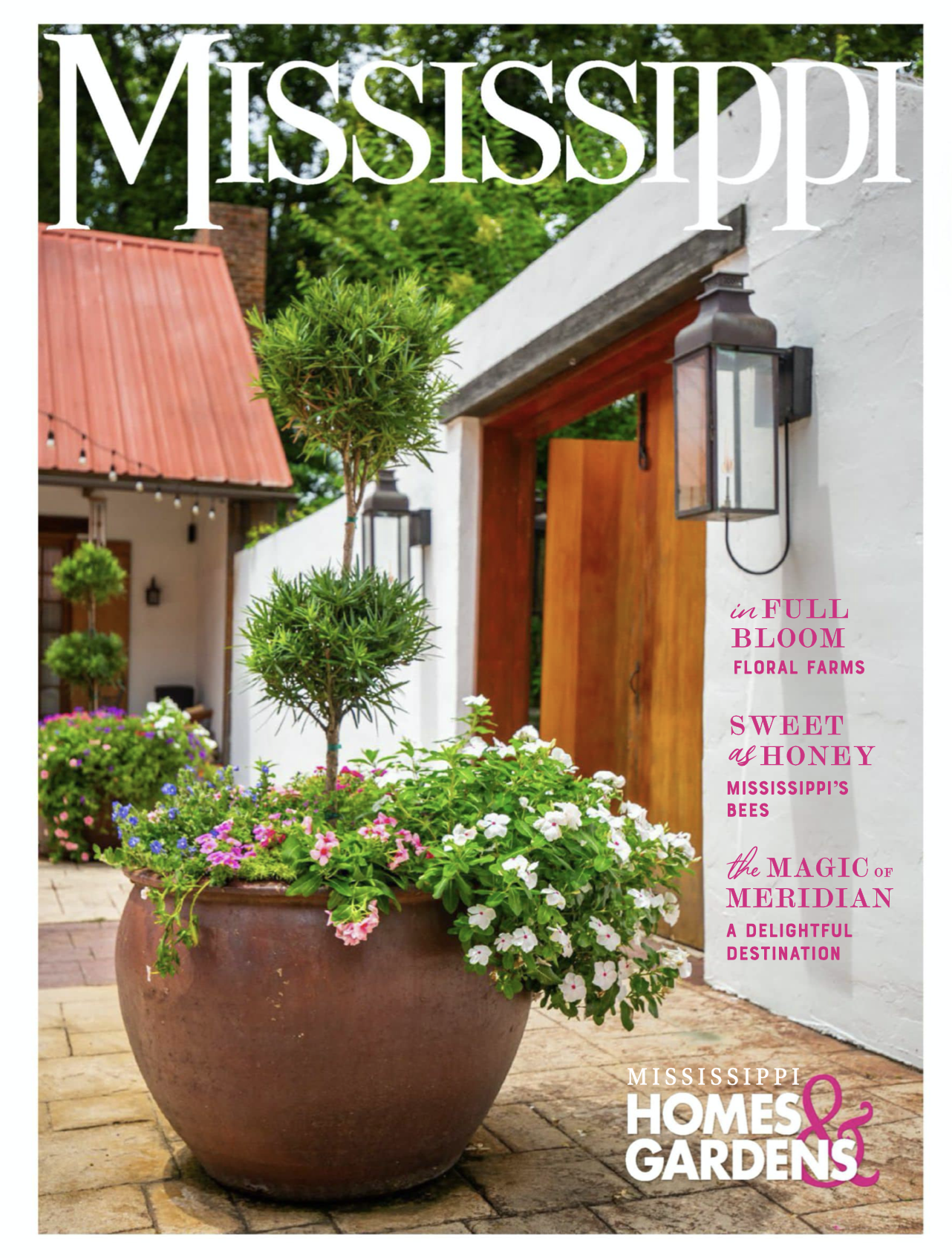 Mississippi Magazine: Color & Connection